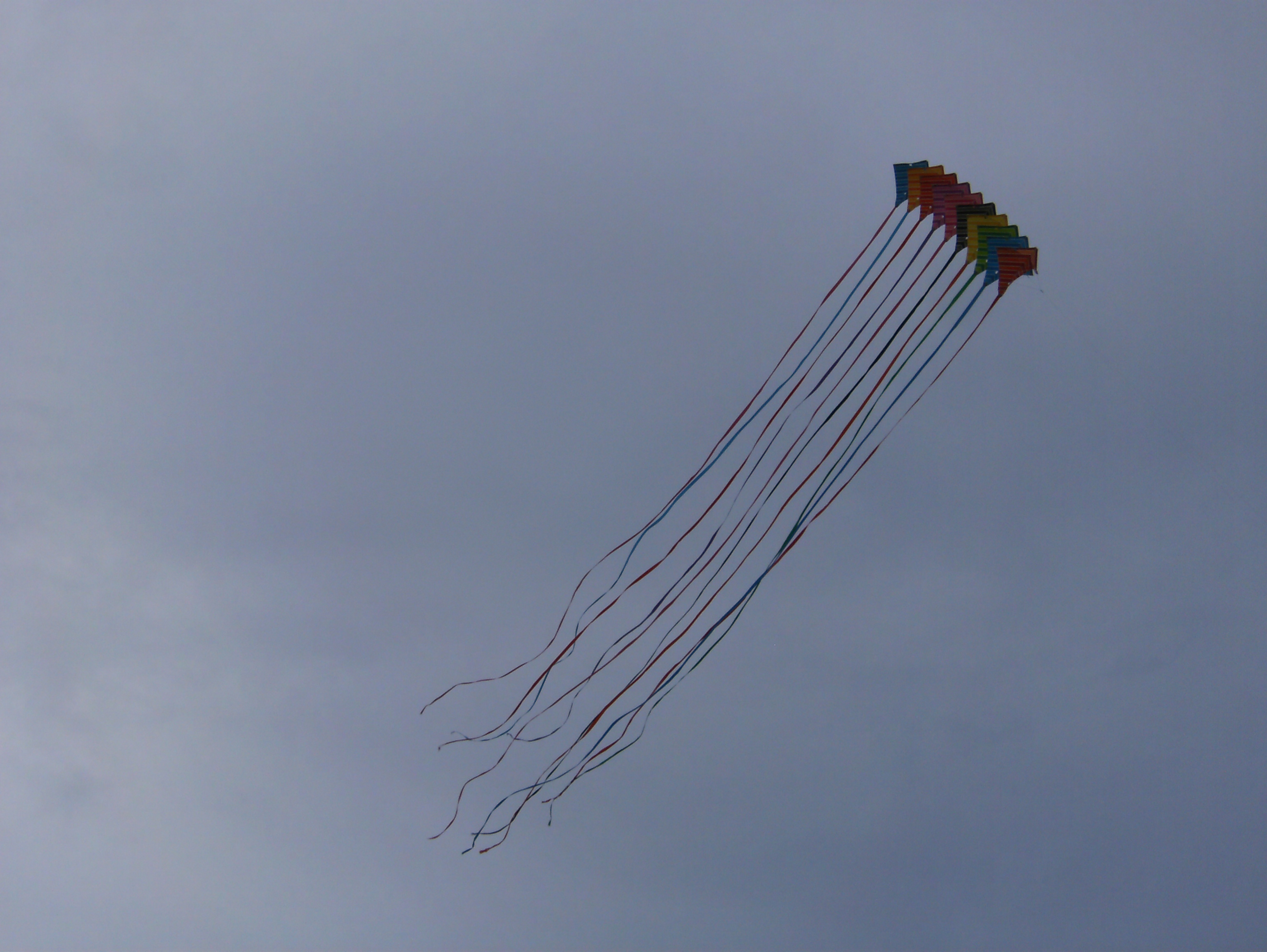 Let's go fly a kite!