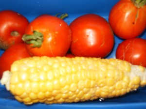 corn and tomatoes from garden