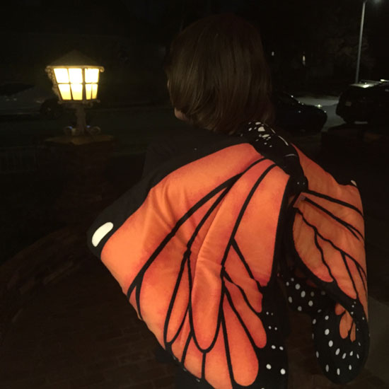 Girl wearing monarch butterfly wings, shown from behind, with lantern in background