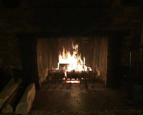 Logs burn in a fireplace behind a metal curtain